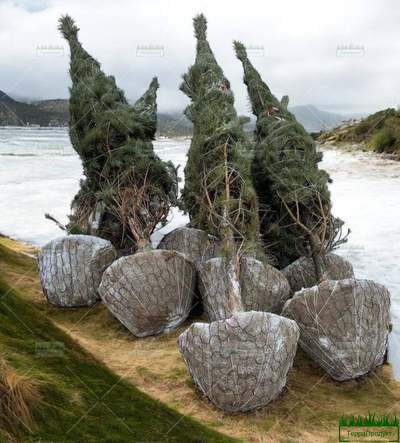 setka-dlya-koma-1600-kupit-v-sochi-kachestvo-nizkiye-tseny-opt