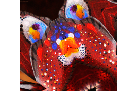 Фрагмент мандалы "Искра" из коллекции сакральных рисунков на основе волшебных украшений Legenda Vincento.