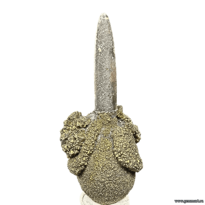 Пирит на белемните. Россия. 40*15*15мм