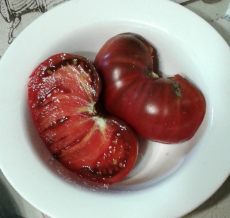 Семена томата Дикий Фред Гном