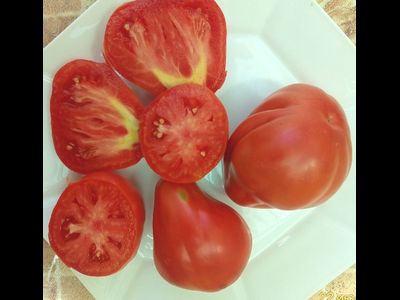 Томат Трюфель густо-малиновый