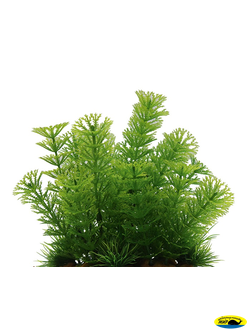 1160111-ART Кабомба зеленая 15 см иск. раст