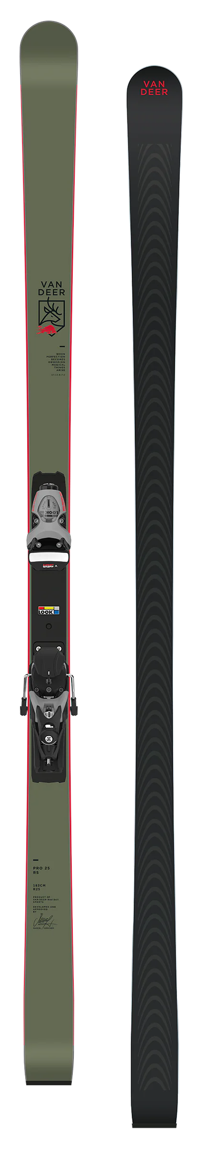 Горные лыжи Van Deer GS PRO RS 183cm R25 юниорские/мастерс с платформой Look R22