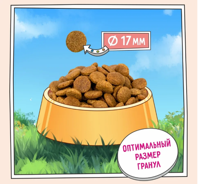 ZILLII Adult Dog Корм сухой для взрослых собак всех пород Белая Рыба с Лососем 15 кг