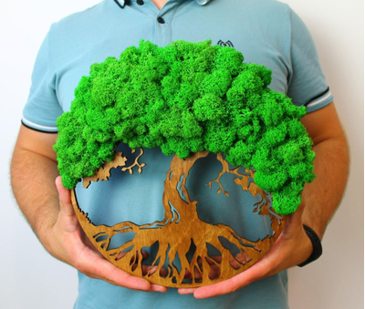 ЖИВАЯ ЭКО-КАРТИНА 1090