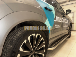 Пороги с накладным листом Папа Тюнинг d53 для JAECOO J8 2024-