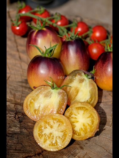 Томат Золотая Чалма, 10 шт