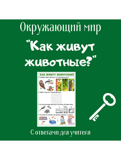 Рабочий лист. 1 класс. "Как живут животные?"