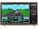 Road rash 3,  Игра для Сега (Sega Game)