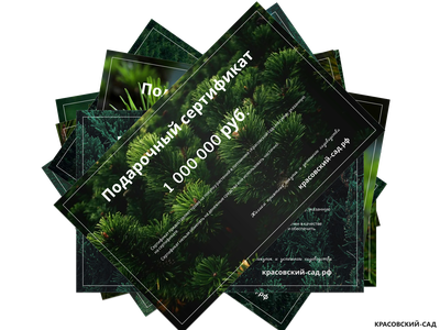 Подарочный сертификат на приобретение и посадку растений