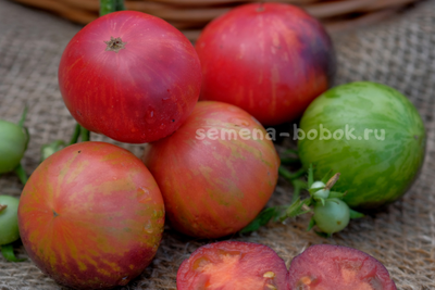 Томат Dwarf Gondwana Lightning (Гном Гондвана Молния), 10 шт