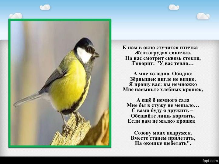 Редкие животные Воронежской области - презентация онлайн