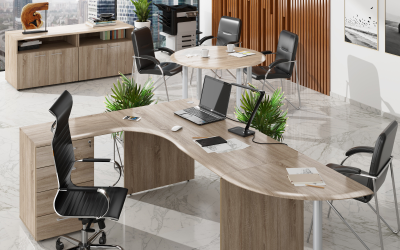 Кабинет руководителя WAVE