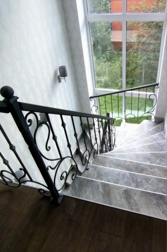 Кованые перила с виноградной лозой -Арт 019