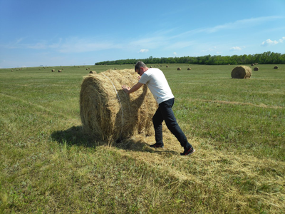 Травосмесь для заготовки сена   "Ультра" 100 кг