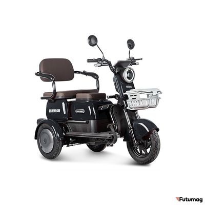 Электротрицикл Rutrike Gelbert Sun 48V/60V 650Вт черный