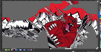 Наклейки на снегоход  Polaris Axys 2016 2017 2018 2019 #1906