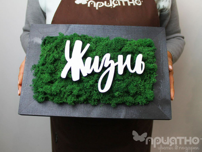 ЖИВАЯ ЭКО-КАРТИНА 1049