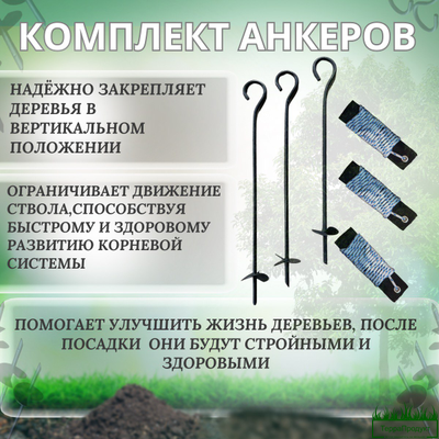 Анкер для растяжки деревьев комплект "Terra Line 500"