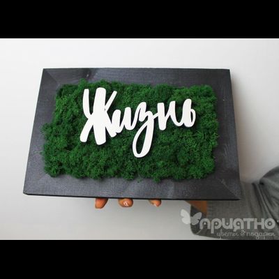 ЖИВАЯ ЭКО-КАРТИНА 1049