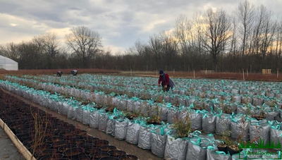 гибкий контейнер,гибкий контейнер для растений,мягкий контейнер,мягкий контейнер цена,живая изгородь