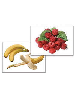 Дидактическое пособие "Фрукты, ягоды, орехи" (24 карт., А4, ламинир.)