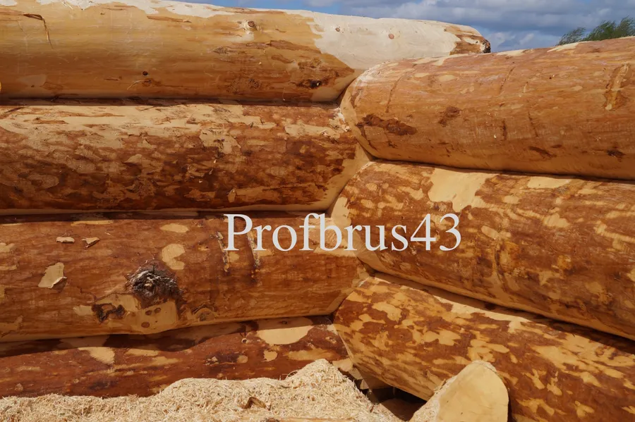 Рубка бани на производственной площадке