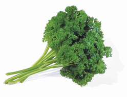 Петрушка листовая кудрявая Петра