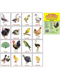 Демонстрационные карточки "Птицы домашние и декоративные"(63х87 мм)