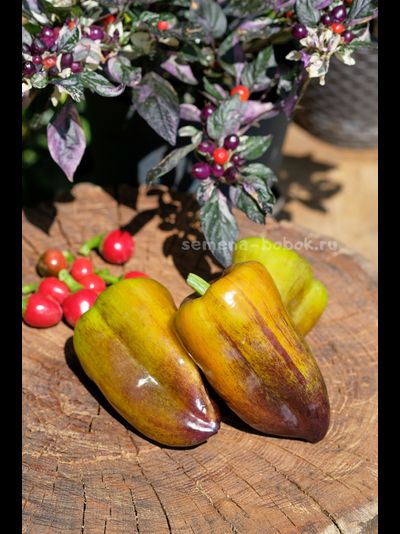 Перец сладкий Синильга, 10 шт