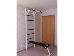 Шведская стенка + скамья для пресса