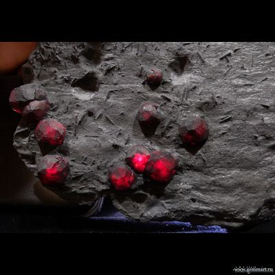 Гранат альмандин-пироповой серии с кристаллами дравита (разн. турмалина) в графитовом сланце. Red Embers mine. USA. 160*120*15мм. Редкость! (ААА)