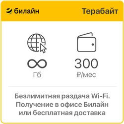 Билайн Терабайт