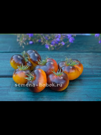 Томат Чупа-Чупс (Chupa Chups) , 10 шт