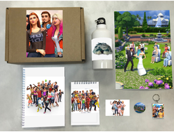 Бокс The Sims, Симс №4