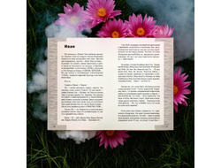 Ольга Громова. Имена. Космический путеводитель по миру имён.