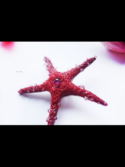 Морская брошь "Звезда ундины"