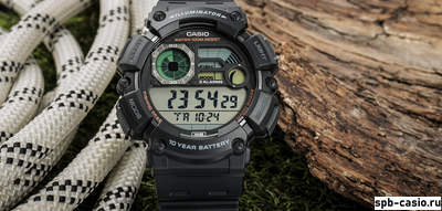 Часы Casio WS-1500H-1A