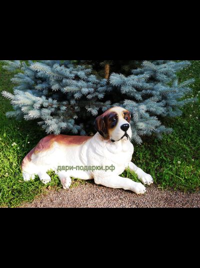 СЕНБЕРНАР 49*80см   6,4кг  полистоун Россия 5489/012323