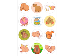 Наклейки-стикеры Капибара, Kapibara-san