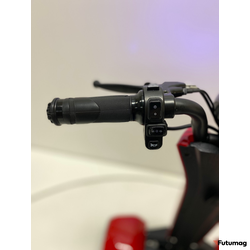 Трицикл GreenCamel Кольт 550 (36V 15Ah 2x250W) автомат