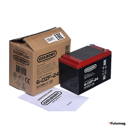 Тяговый аккумулятор Gelbert 6-DZF-24 (12V26A/H C5)