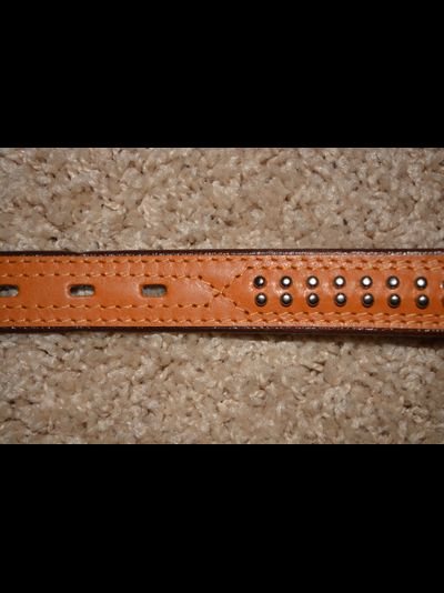 Ошейник Кожа подвернутый фурнитура 3,0см*55см