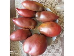 Томат Фиолетовая гордость Весселя (Wessel's Purple Pride)