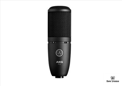 Фото микрофона AKG P120