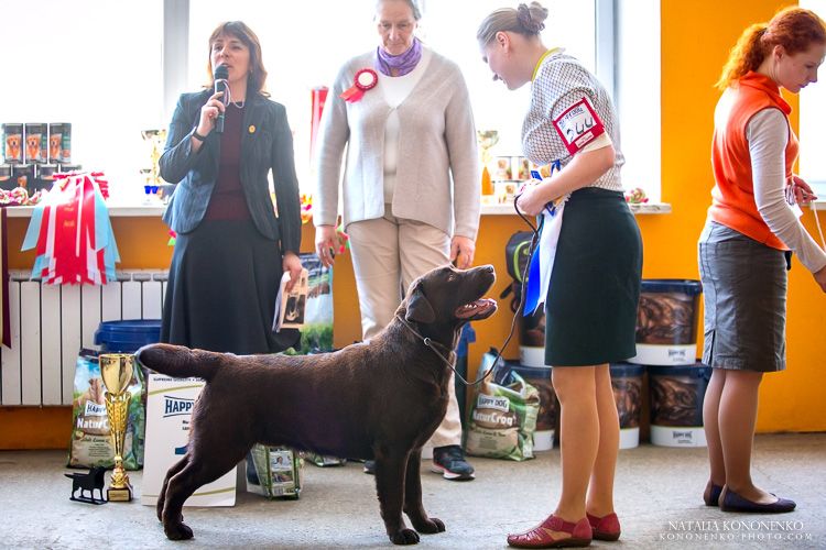 Лабри Берри Нимбус Браун