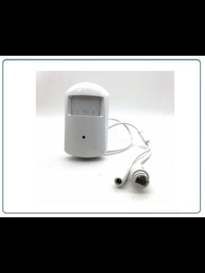 Видеоняня/Охранная IP WiFi-LAN видеокамера с ночным видением и аудиоканалом (корпус ИК датчика), встроенный DVR. Full HD (CamHi)