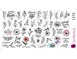 Слайдер-дизайн 1172 - Полевые  ч/б цветы, надписи