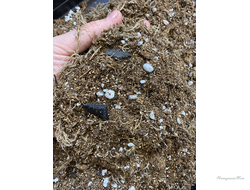 Грунт для спатифиллумов  1л