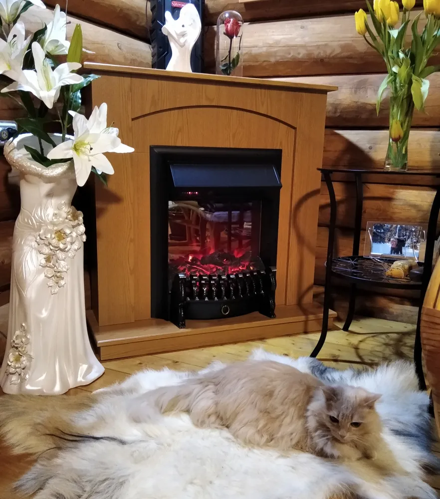 Электрокамин Скандинавия